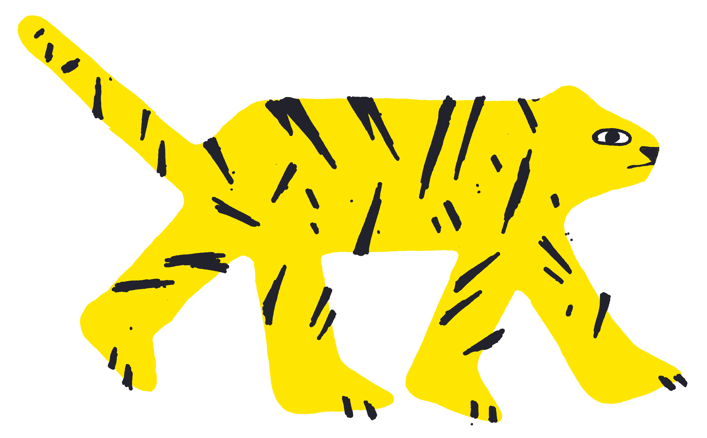 tigre 5